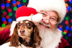 Santa Paws: Pictures & Pints Event - December 5, 2014 6pm-8pm